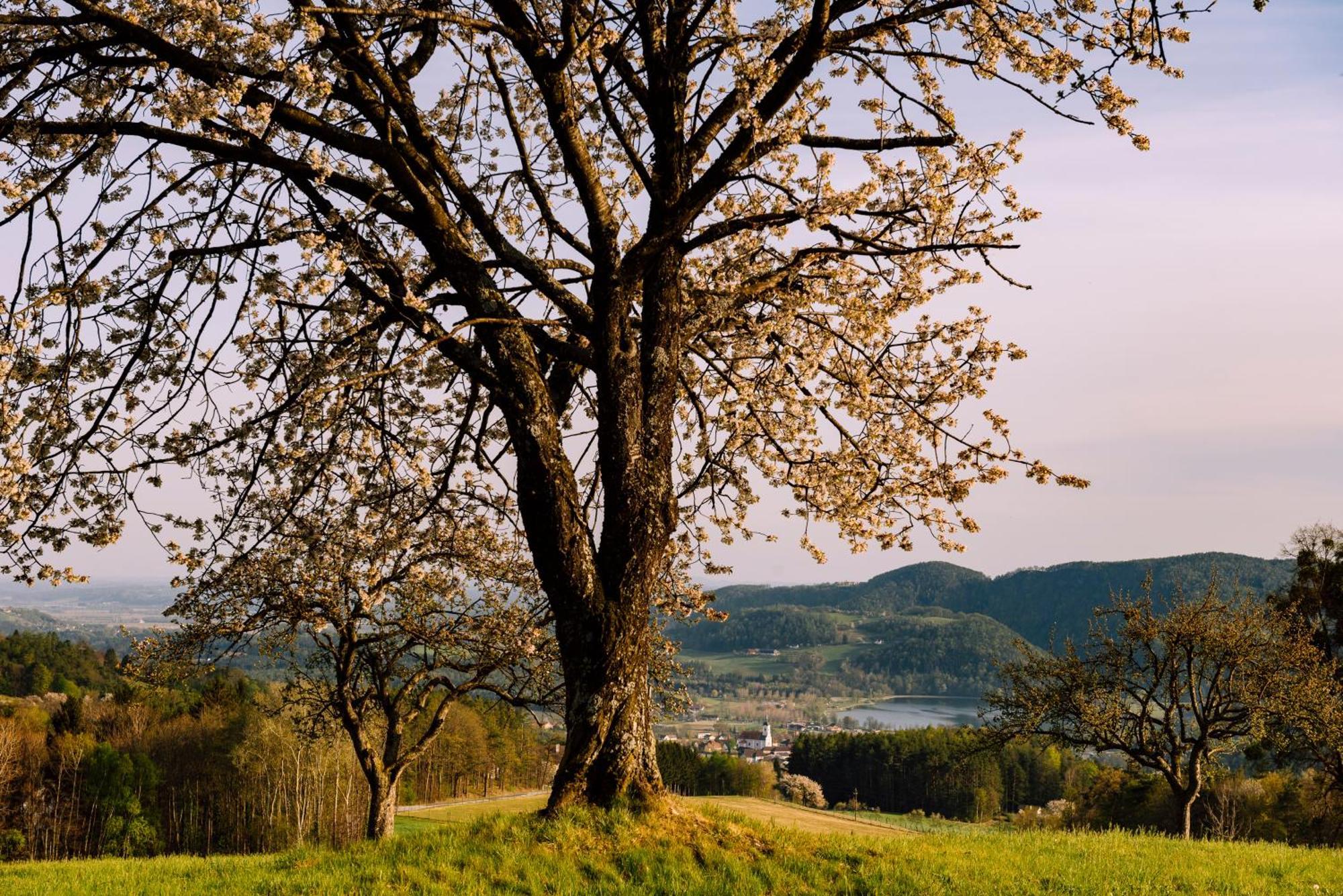 Landhaus Grete Stubenberg Buitenkant foto