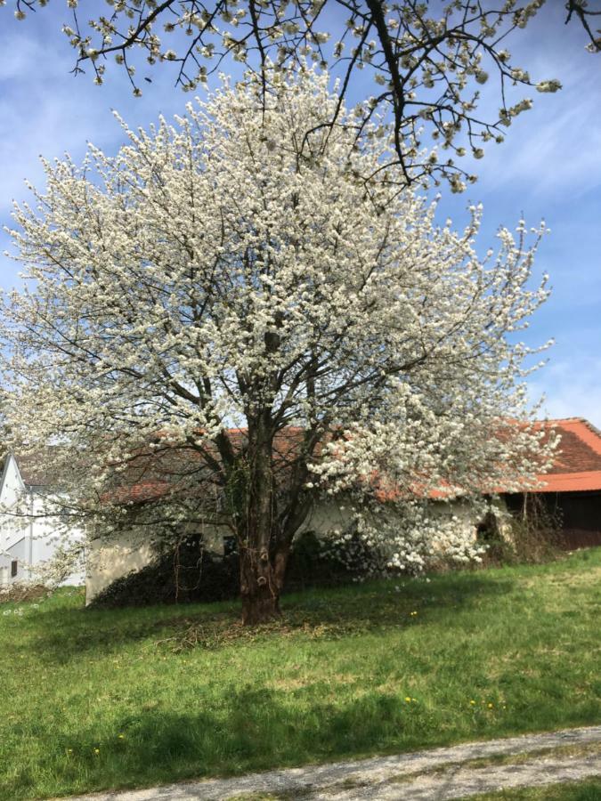Landhaus Grete Stubenberg Buitenkant foto